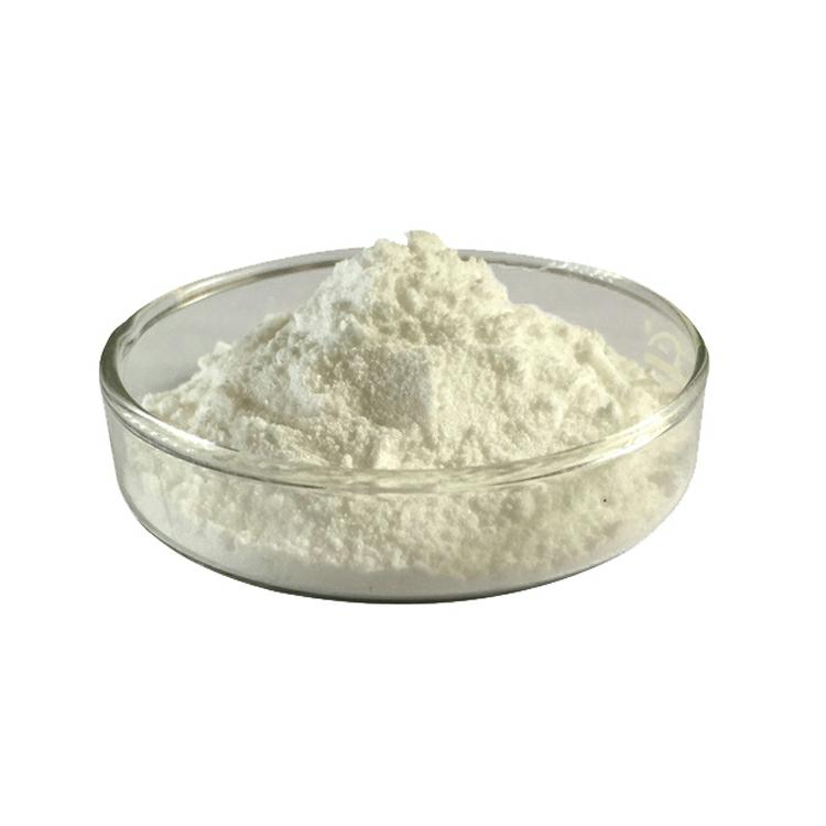 Saw Palmetto Extract  Powder 