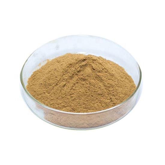 Rosemary Extract Powder 