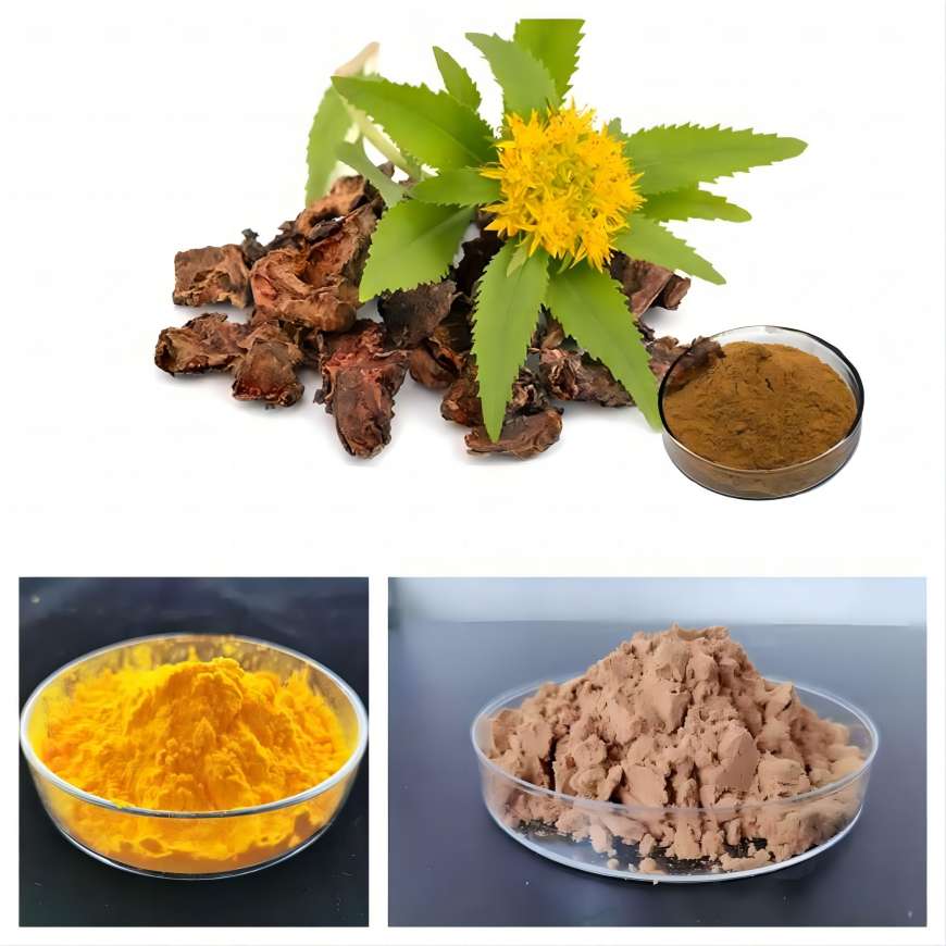 Rhodiola Rosea Extract 