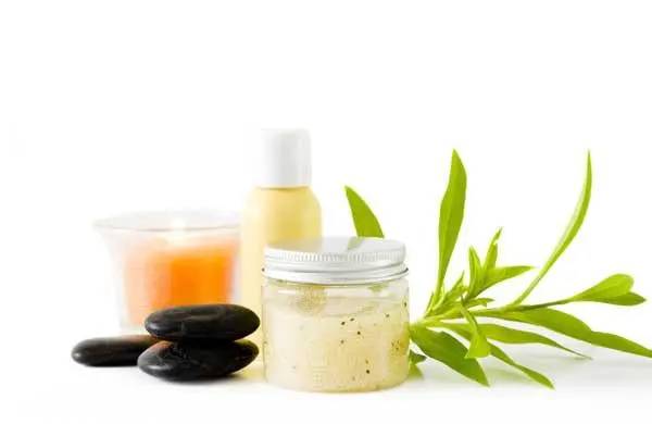 plant extract in cosmetic