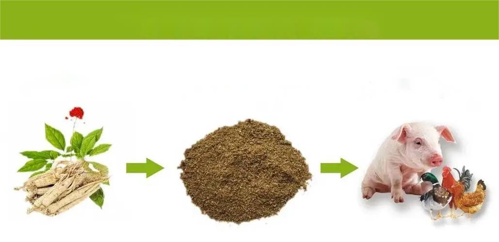 plant extract  feed additive