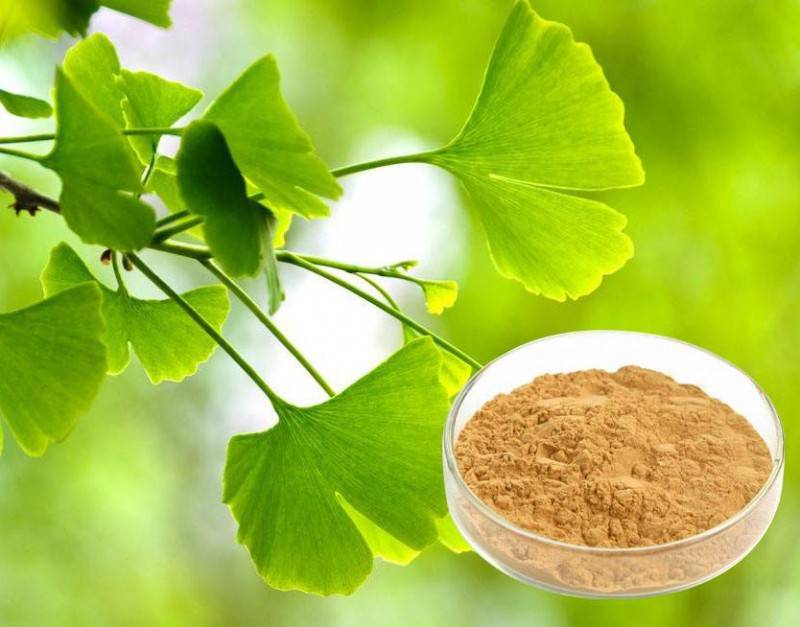Ginkgo biloba extract