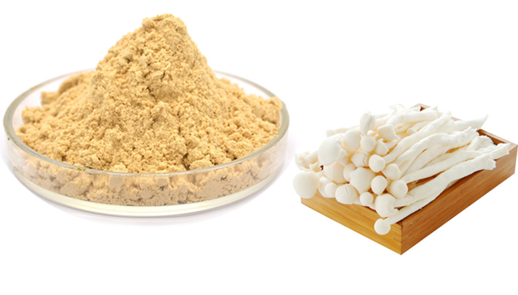 mushroom Polysaccharides