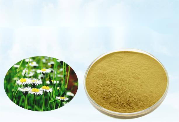 Calendula Officinalis Extract