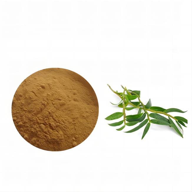 plant extract powder