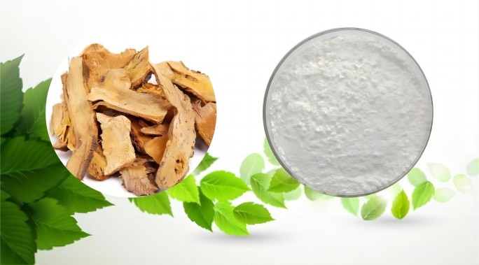 Polygonum Cuspidatum Extract