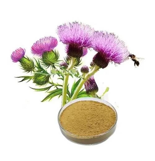 Milk Thistle Extract 