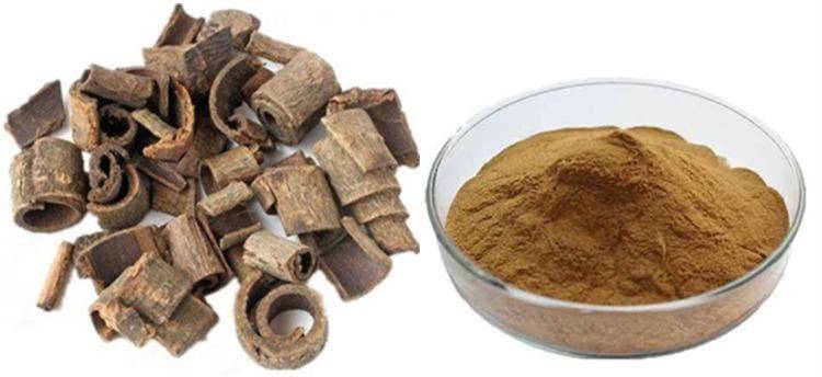 Magnolia Officinalis extract