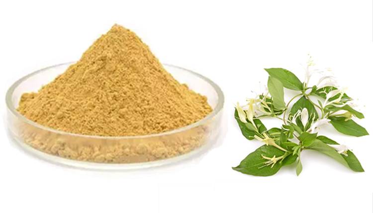 Honeysuckle Extract