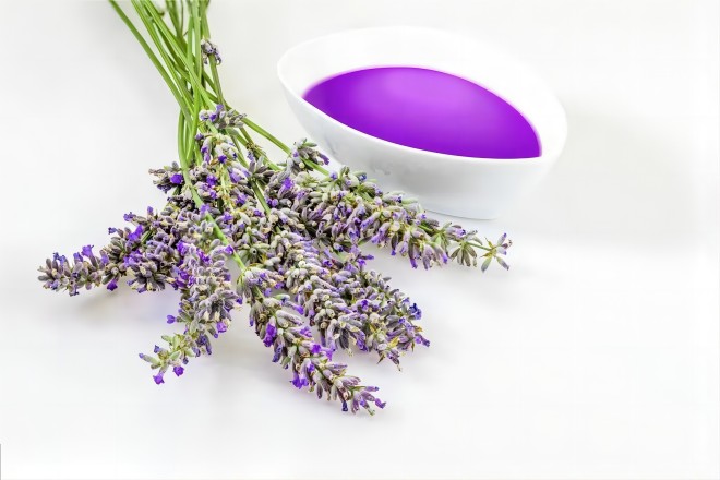 Lavender Extract
