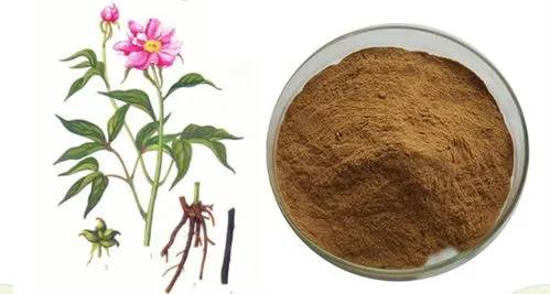 plant extract powder