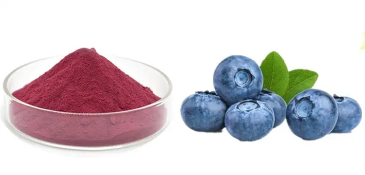 blueberry extract powder