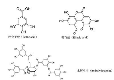  Plant Polyphenols