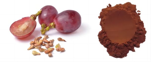 Grape Polyphenols