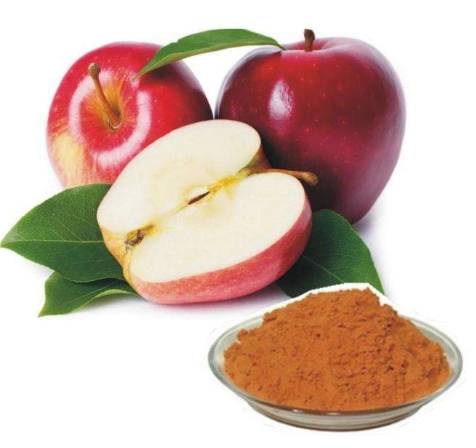  Apple Polyphenols