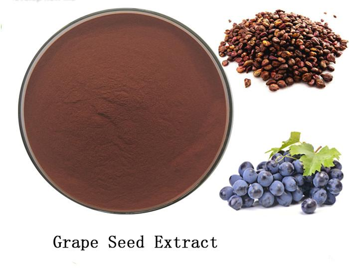 Grape Seed Extract