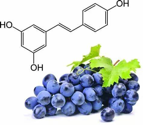 grape extract