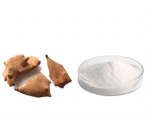 Galla Chinensis Extract Ellagic Acid