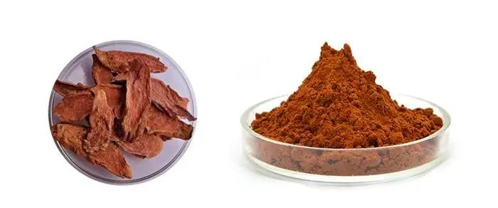 Rhodiola Rosea Extract