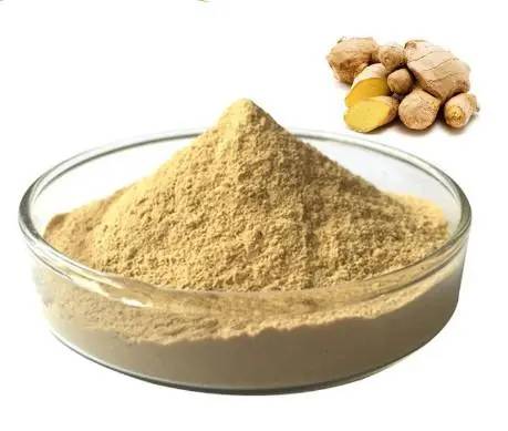 Ginger Extract powder