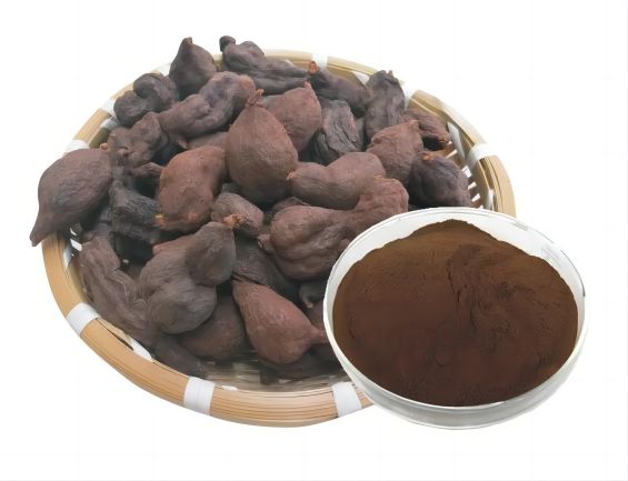 Polygonum Multiflorum Extract