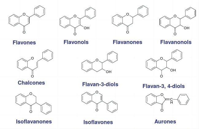  Flavonoids structure