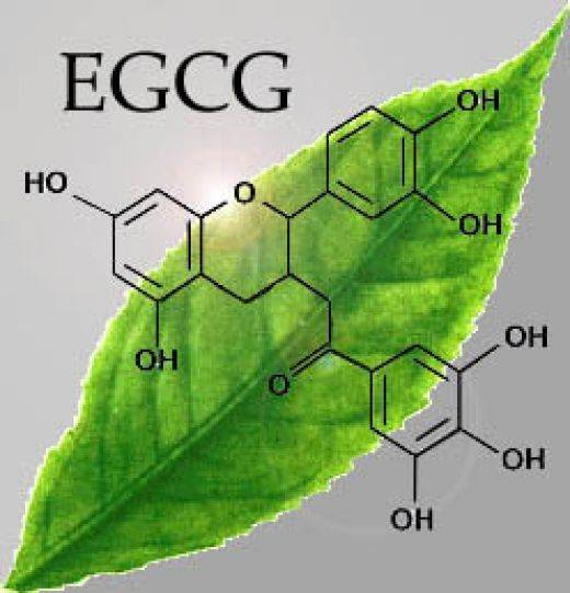 Epigallocatechin