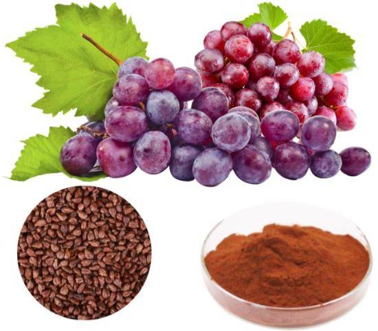 Grape seed extract powder