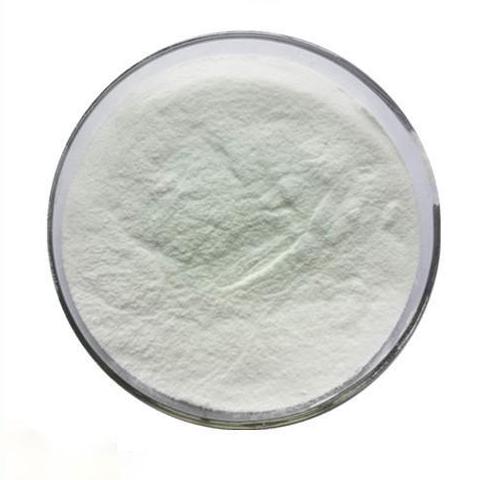 plant extract powder