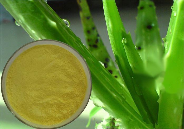 Aloe Vera Extract powder