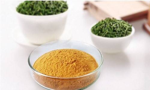  tea polyphenols