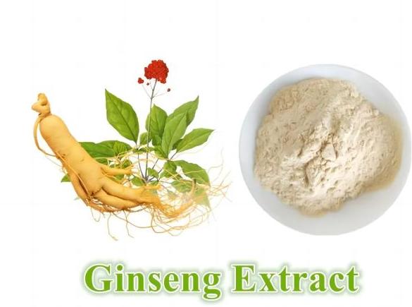 Ginseng extract