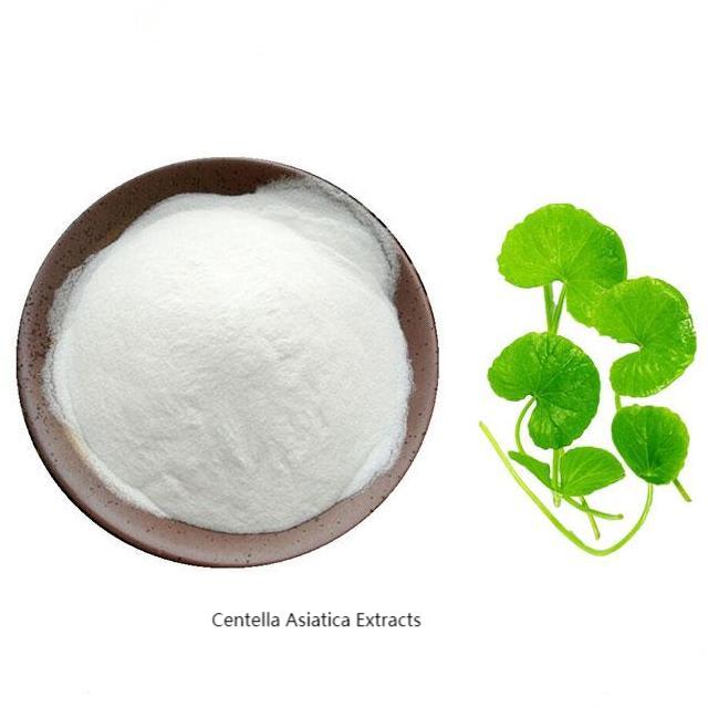 Centella asiatica extracts