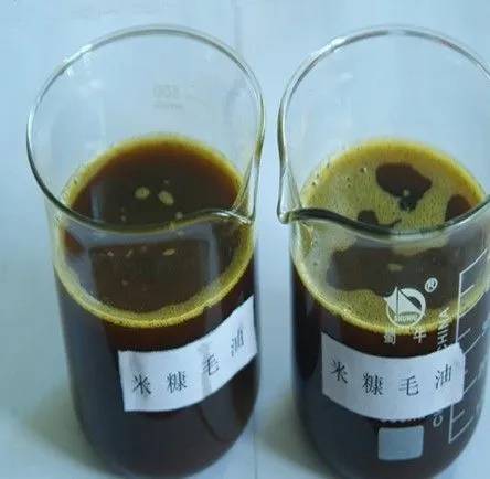 Crude Rice Bran oil 
