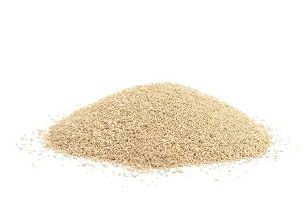 Yeast