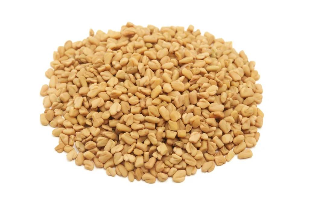 Fenugreek Seed