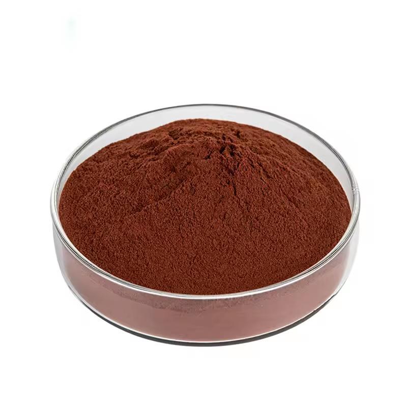 Grape Seed Extract Powder