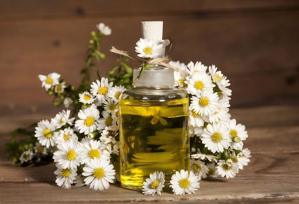Chamomile essential oil