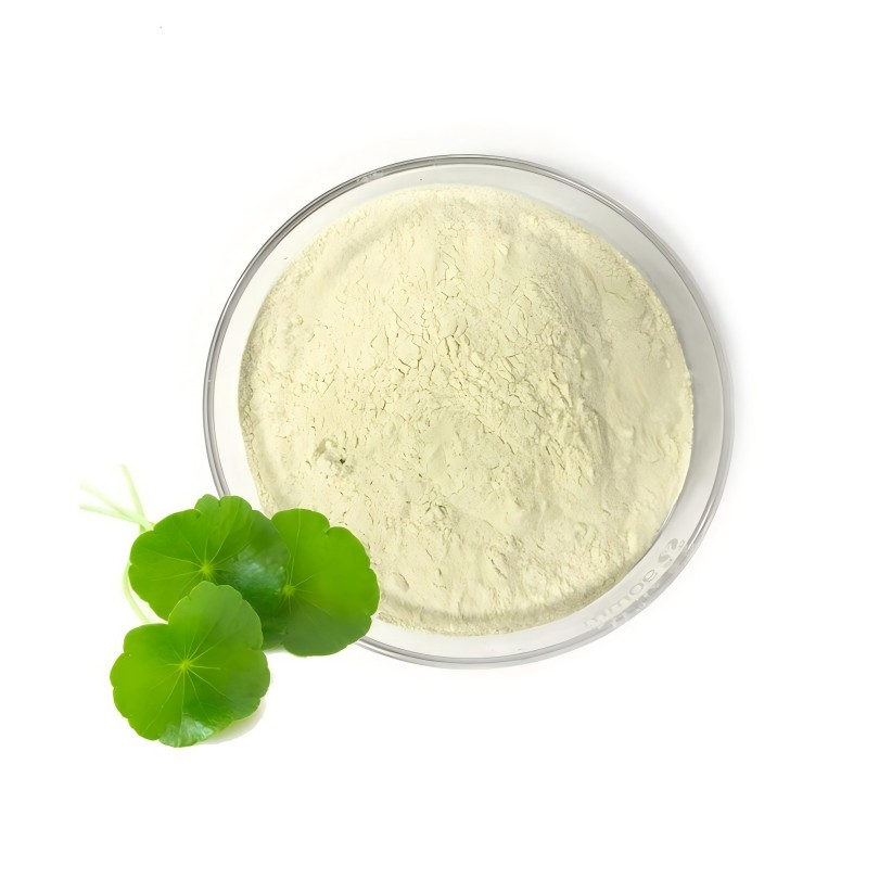 Centella Asiatica extract powder