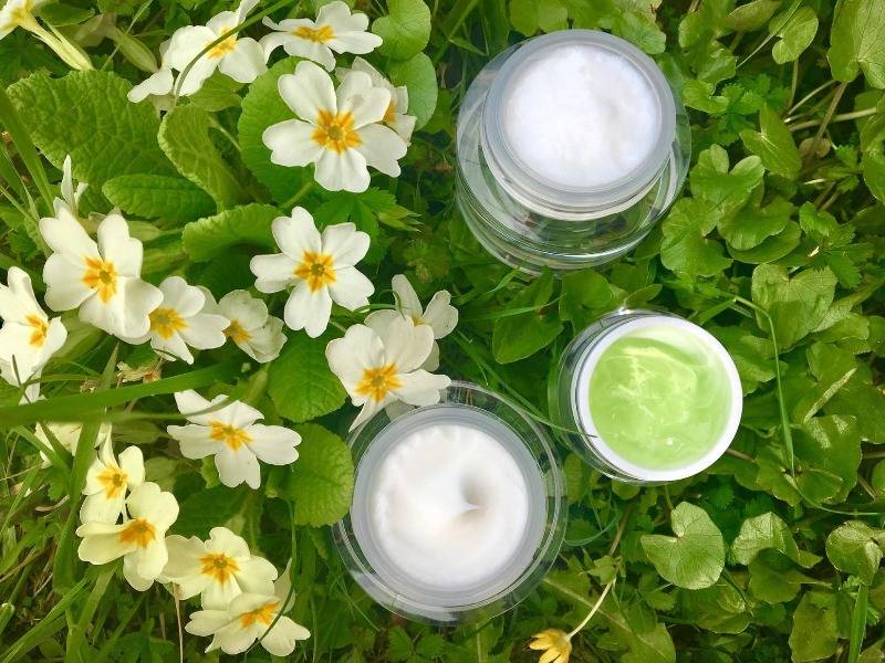 plant extract for cosmetic