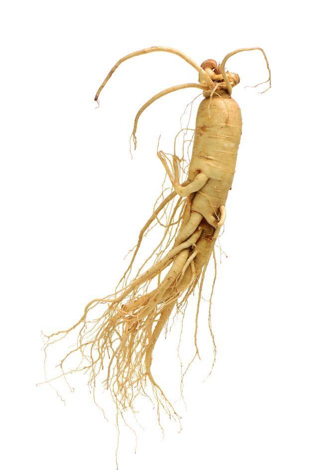 Ginseng