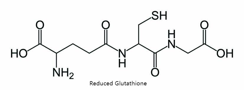 Reduced Glutathione Structure