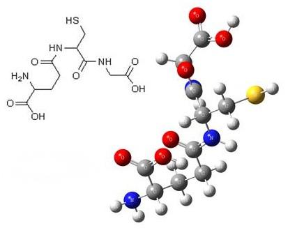 Glutathione structure