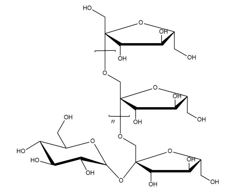 Inulin structure