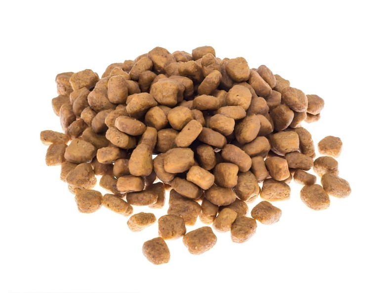 Inulin feed additive