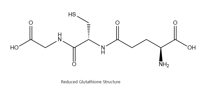 Glutathione structure