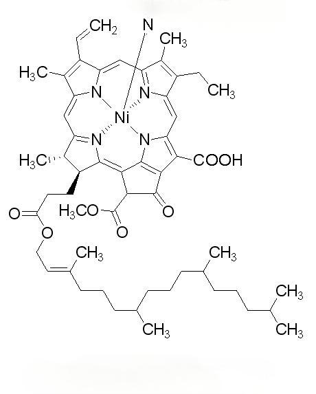 Phycocyanin structure