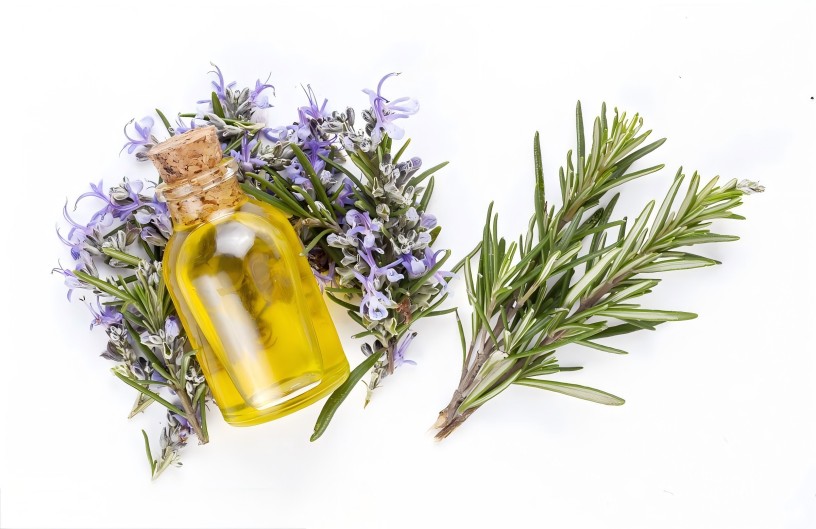Rosemary essential oil
