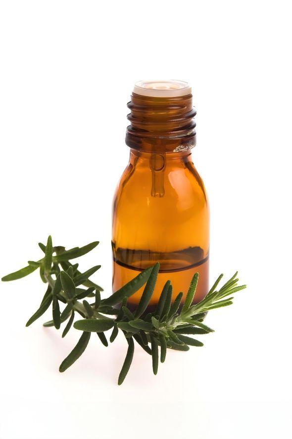 Rosemary essential oil