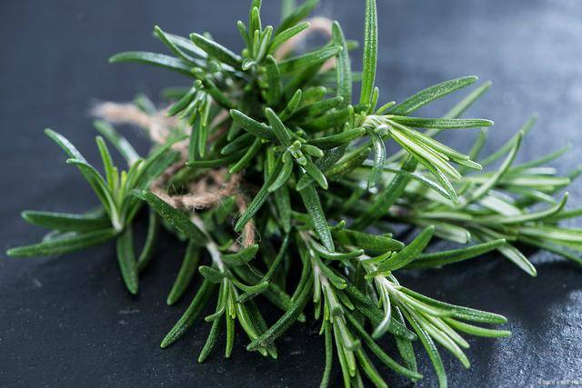 Rosemary